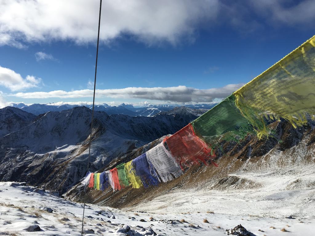 Giatla Hof Der Alfenalm - Ferienwohnungen Am Berg インナーヴィルグラーテン エクステリア 写真