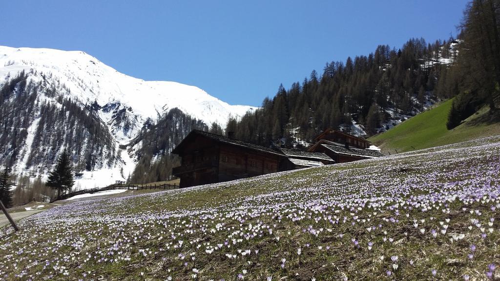 Giatla Hof Der Alfenalm - Ferienwohnungen Am Berg インナーヴィルグラーテン エクステリア 写真