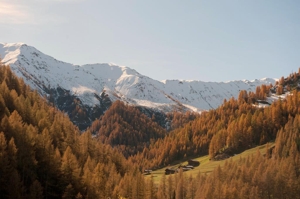 Giatla Hof Der Alfenalm - Ferienwohnungen Am Berg インナーヴィルグラーテン エクステリア 写真